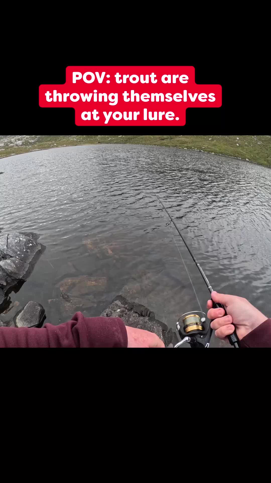 @fishingshaun