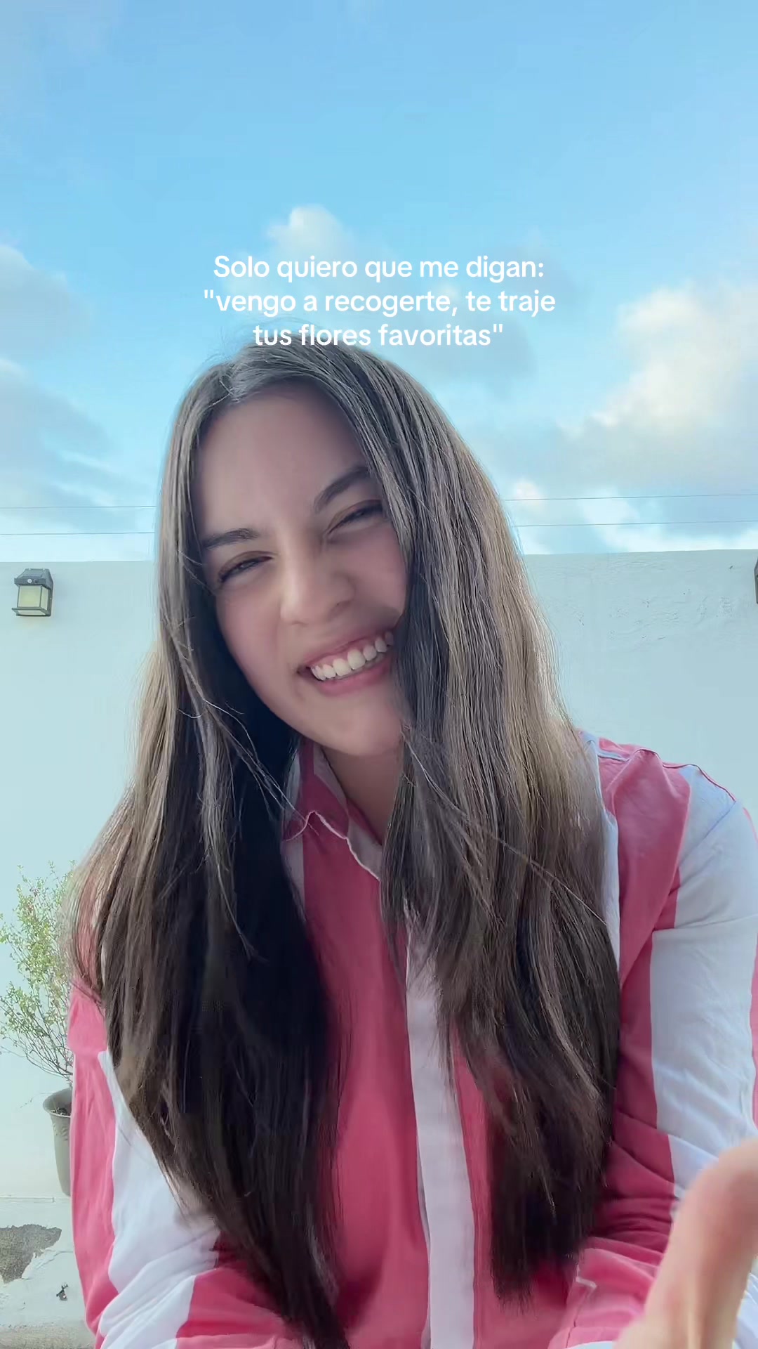 @S T E F F