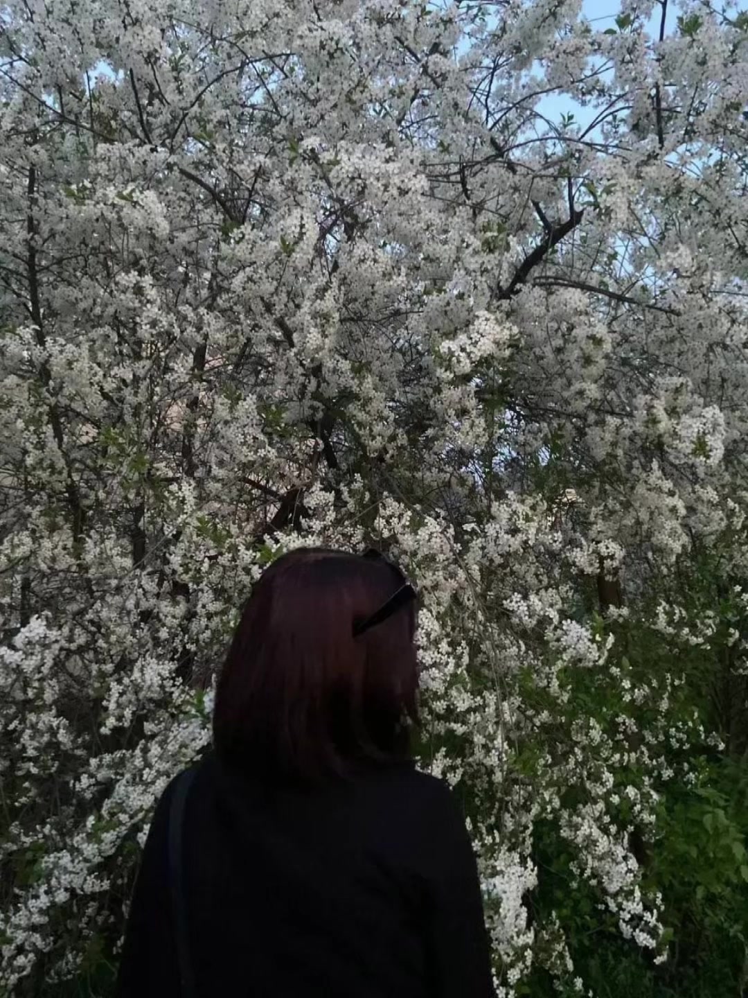 @aлiчка феvраlьсkая ^_^