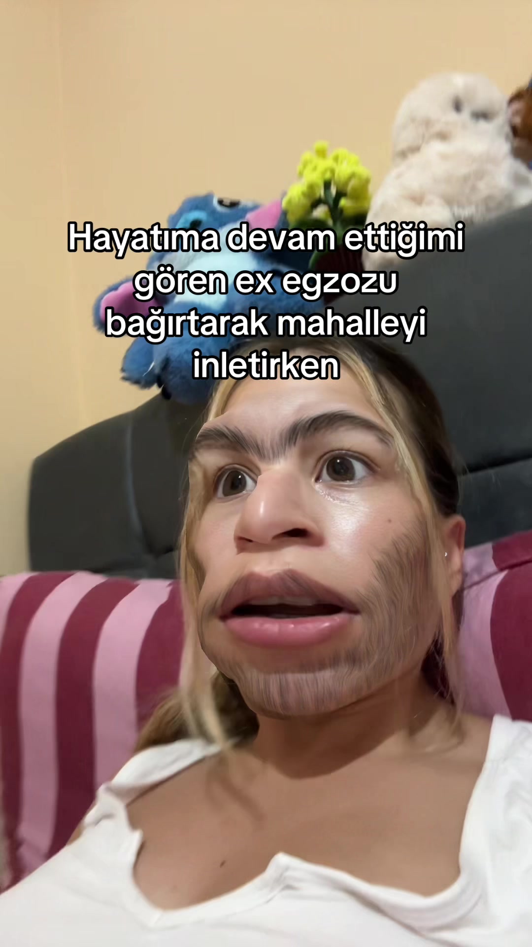 @sheyda