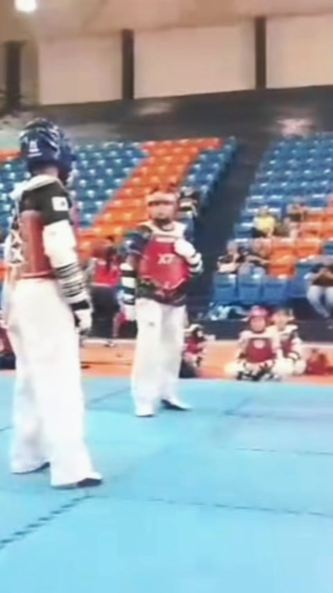 @taekwondolionsteam