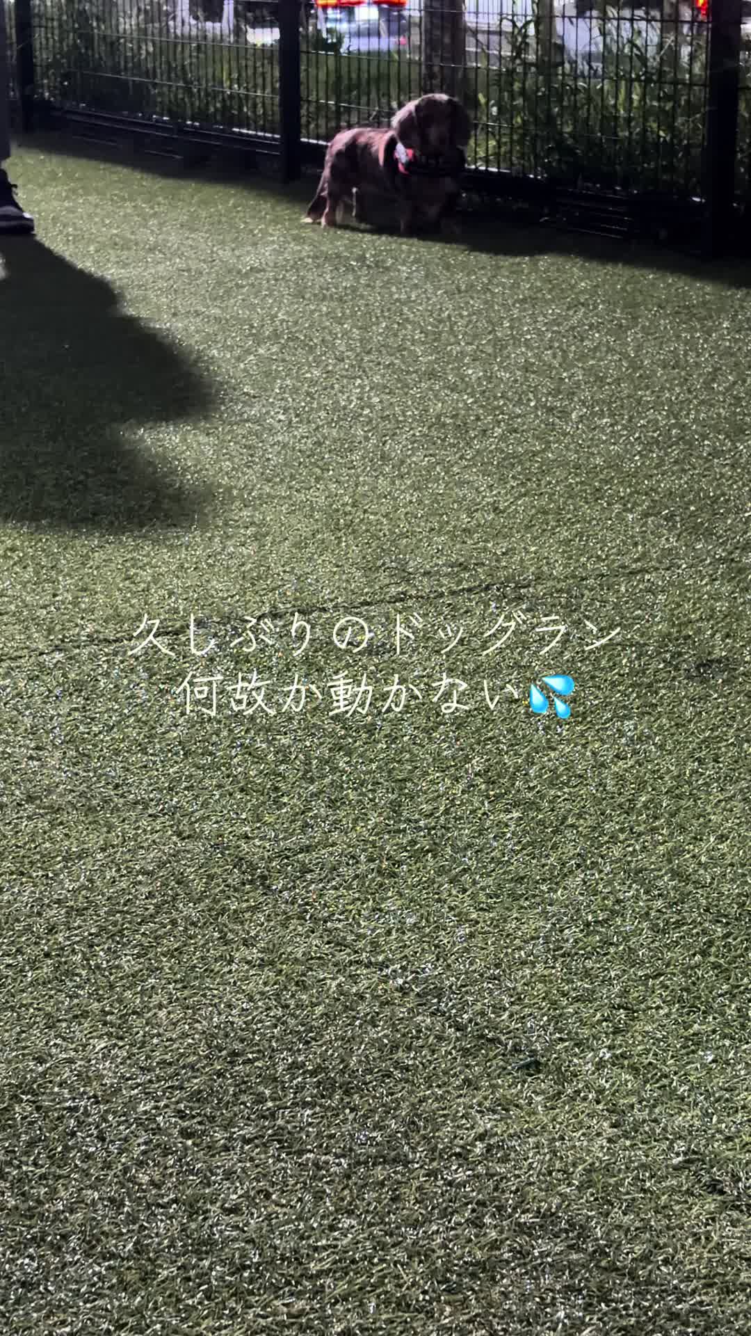 @ケン