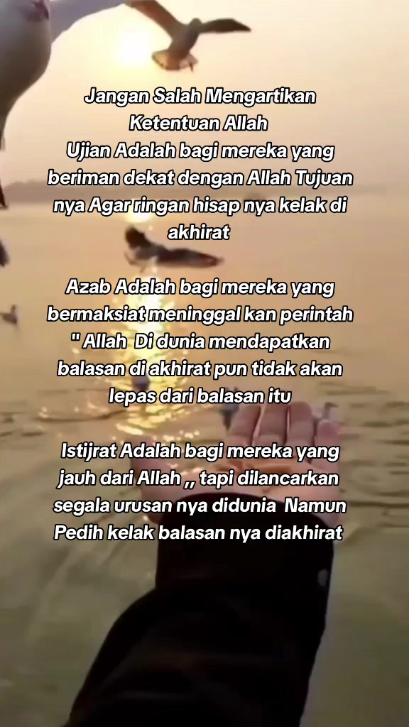 @Aysah ( mawar )