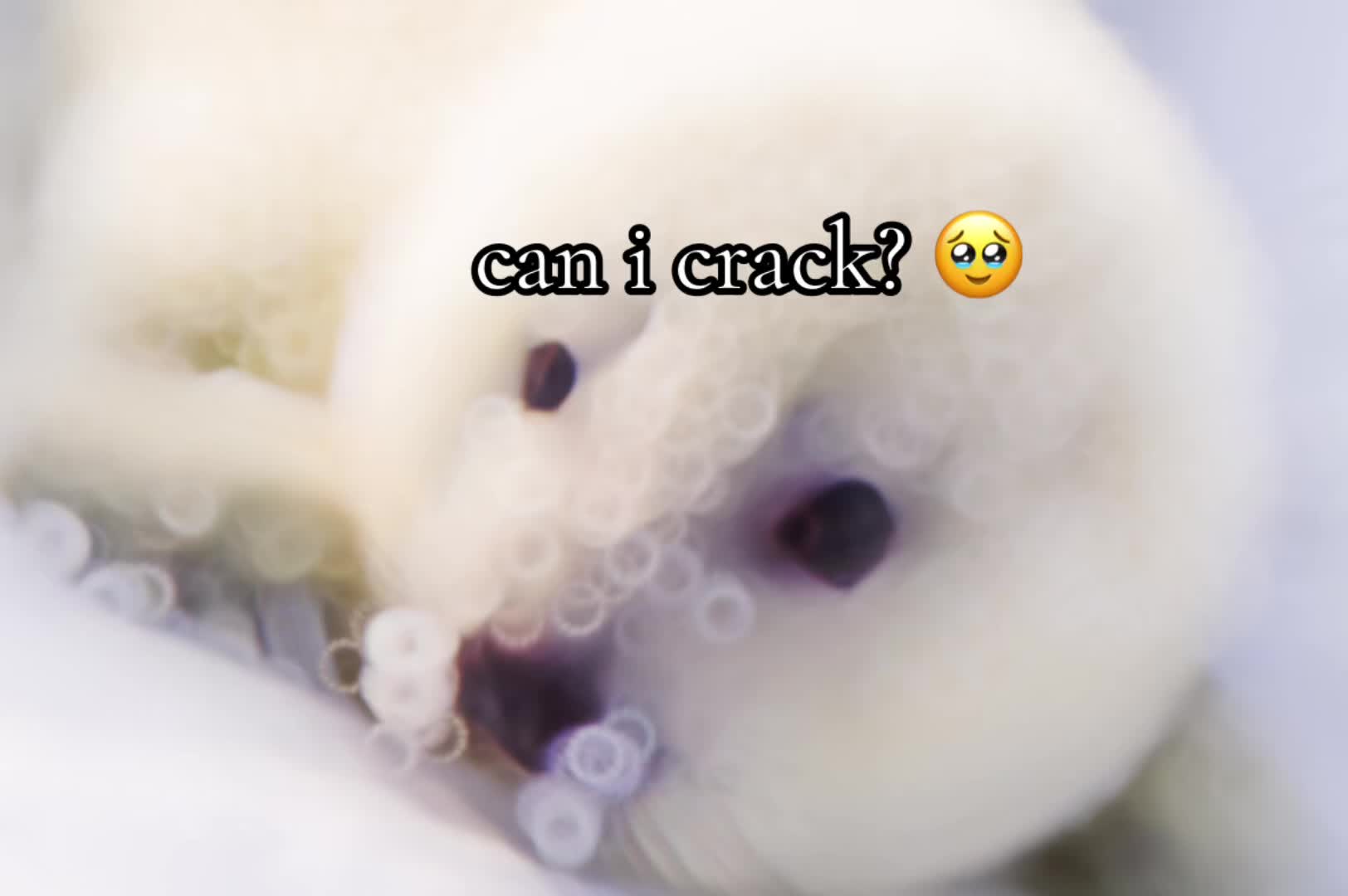 @realestsz0