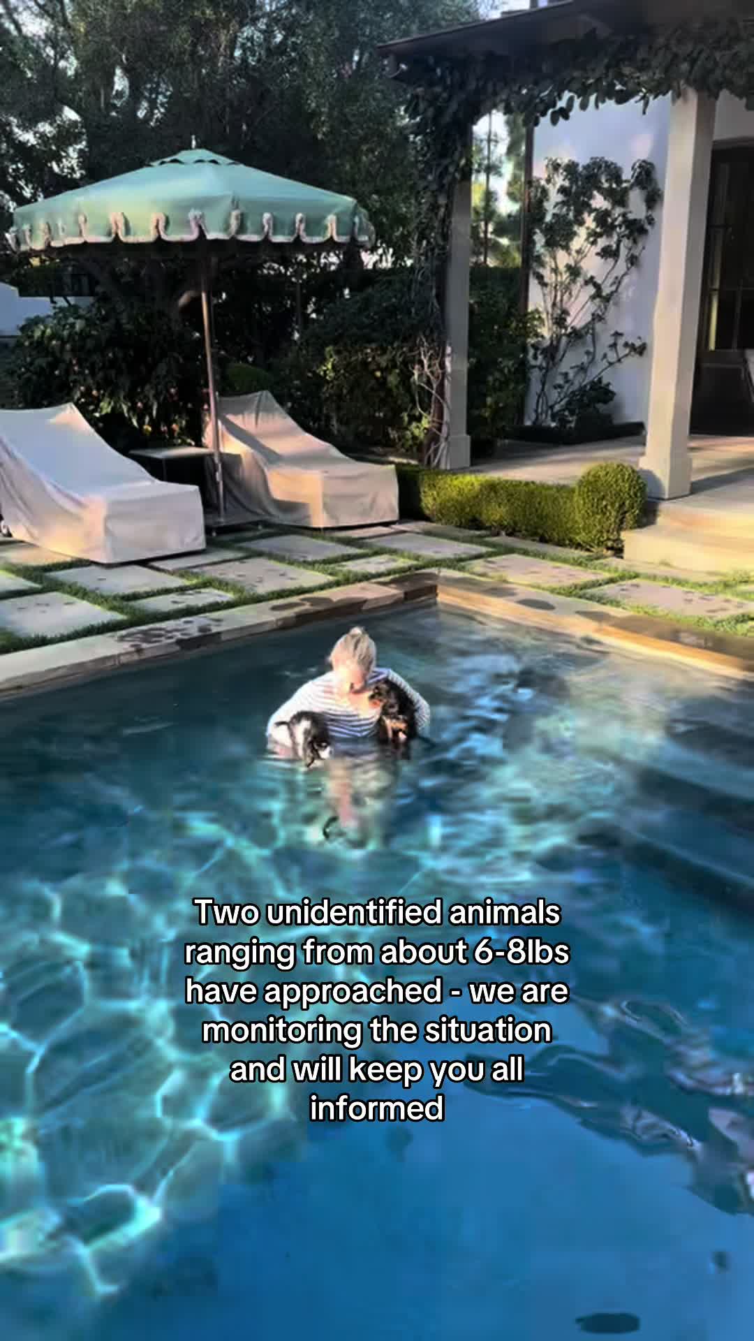 @thelaneytucker