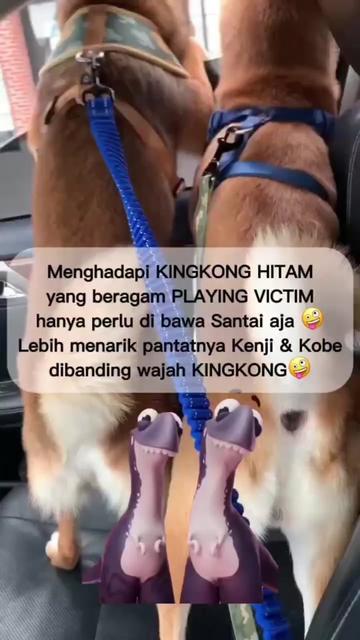 @BoNd__007 🥷🏻🥷🏻
