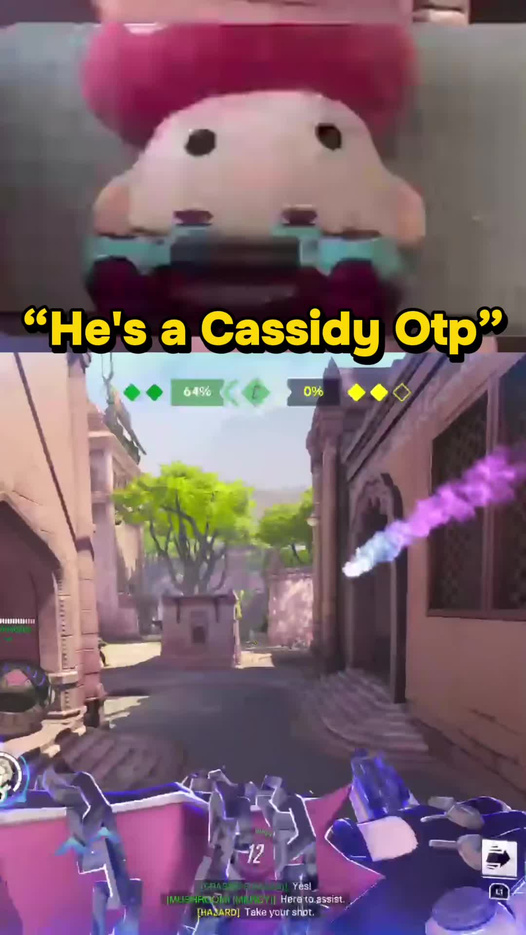 @drmushroom4