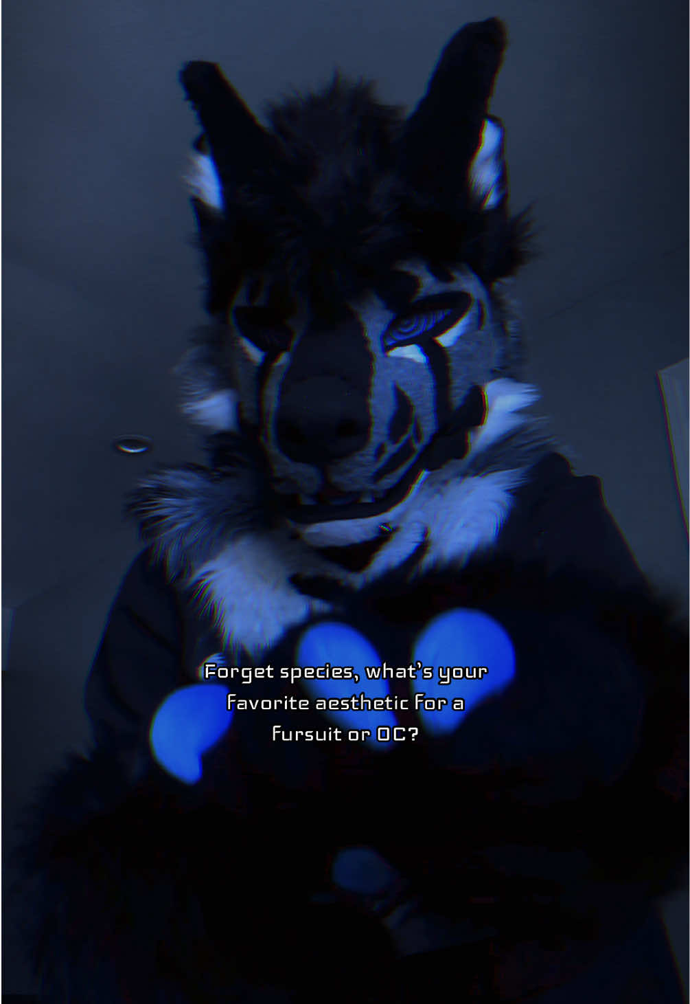 @sonar_hyena_shark