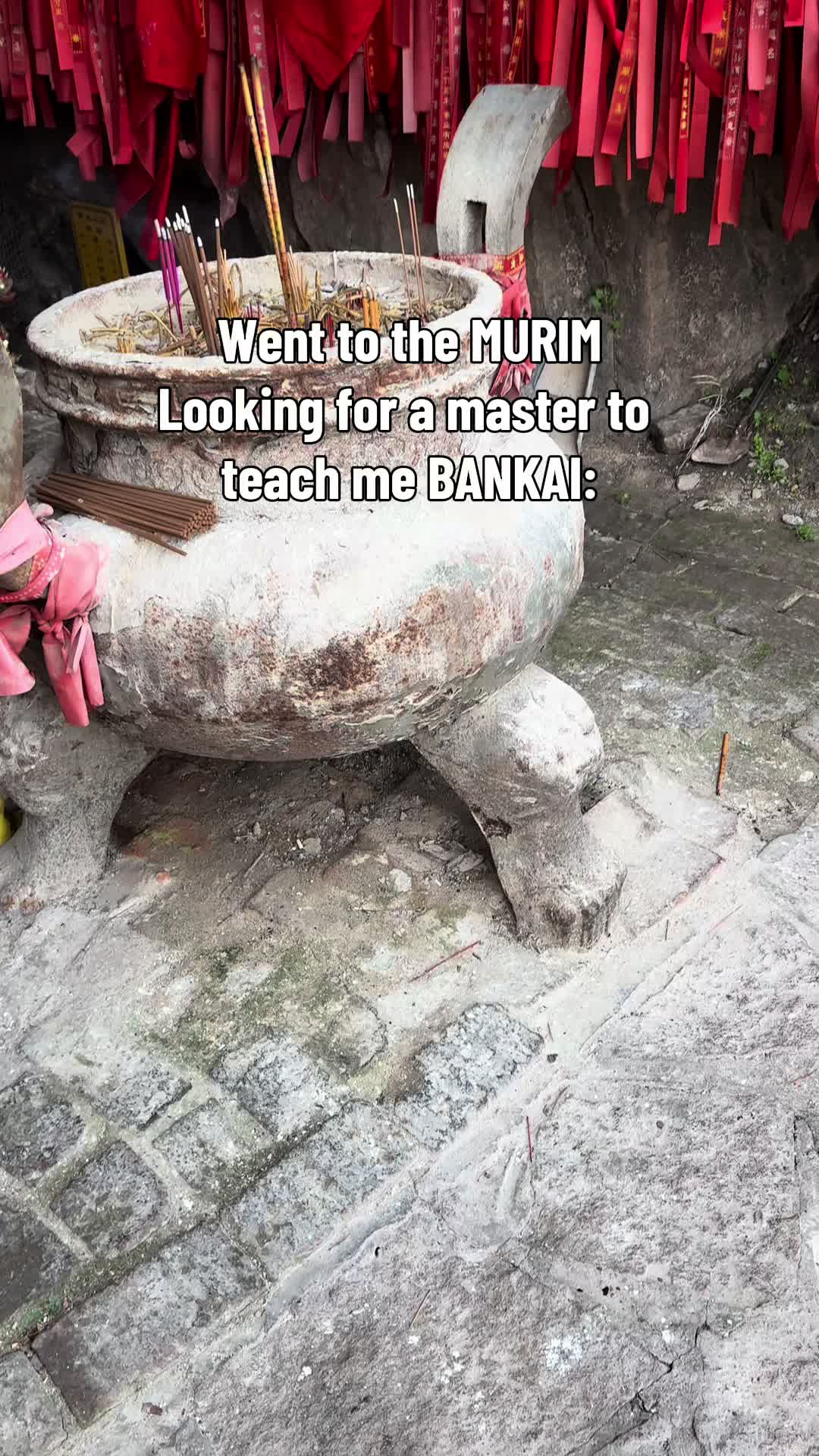 @AniFez