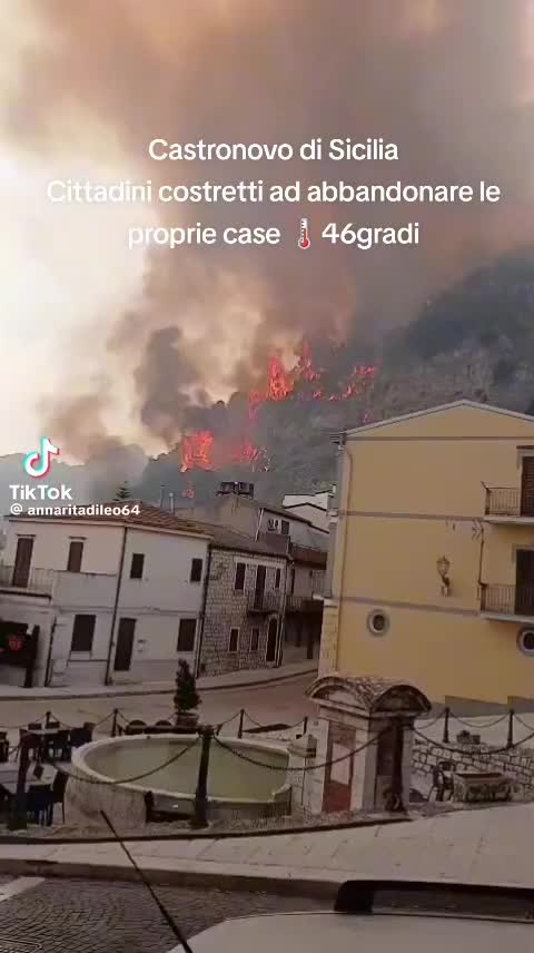 @singura a nimanui!