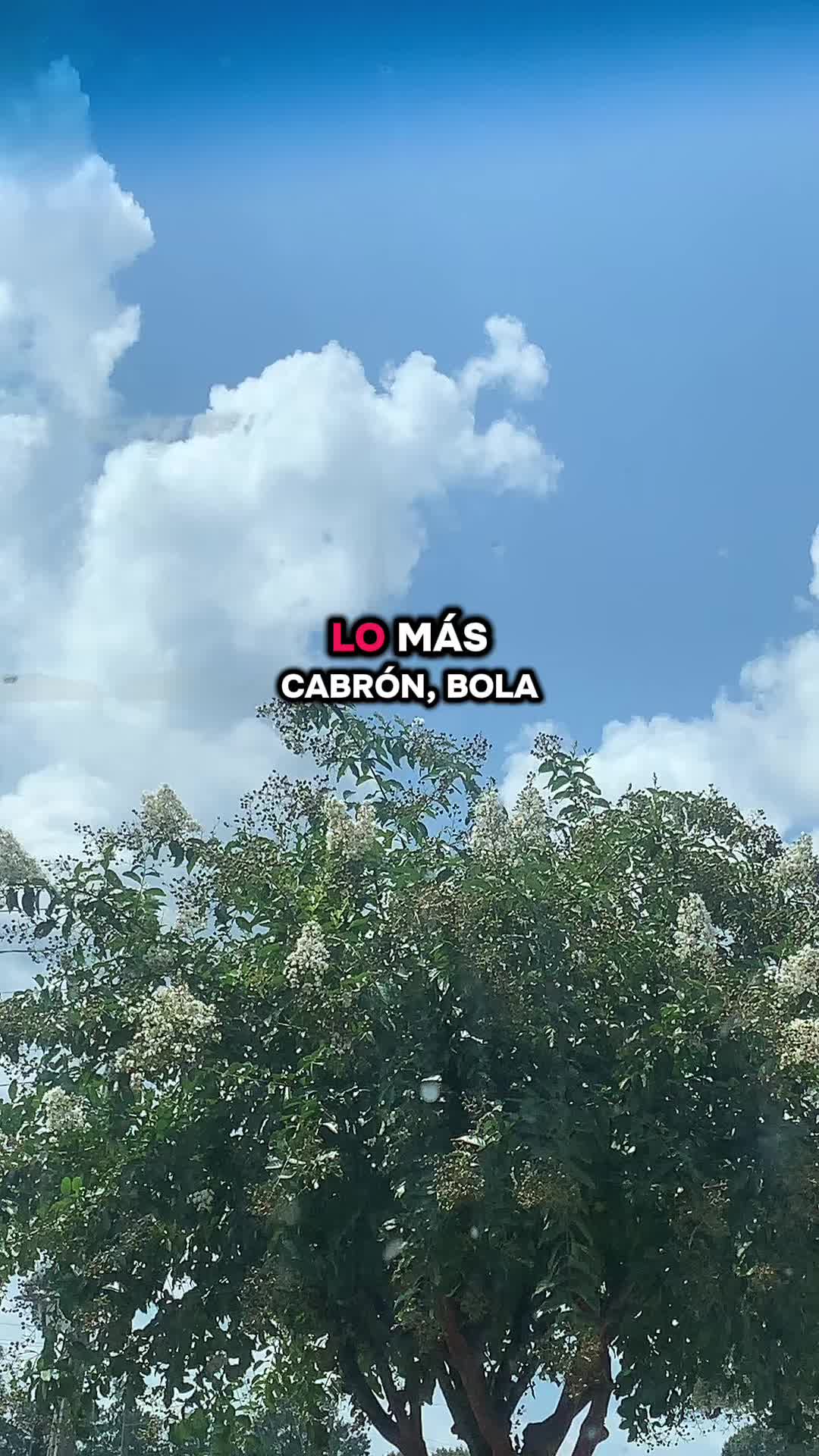 @El junior