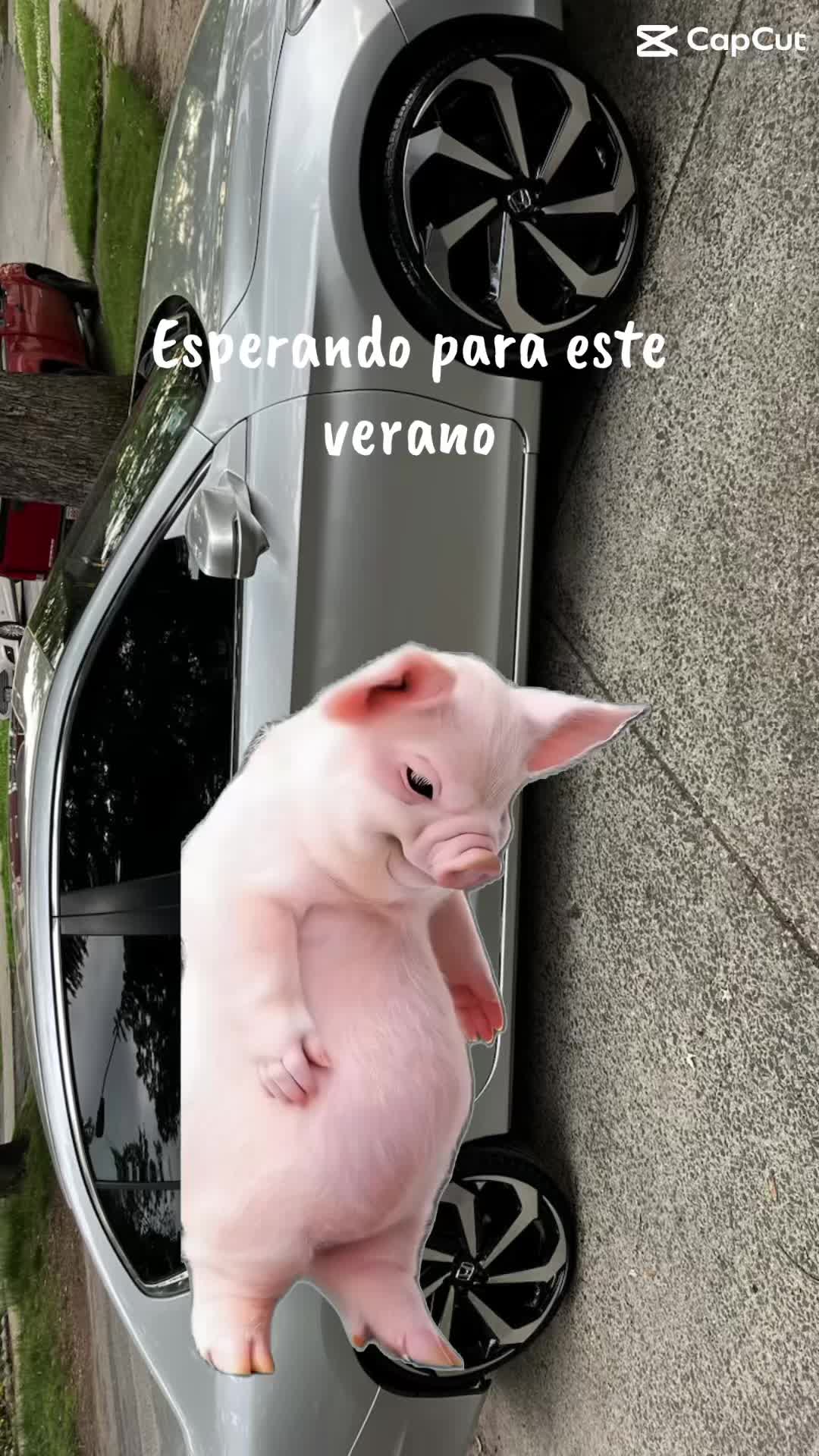 @elindio417