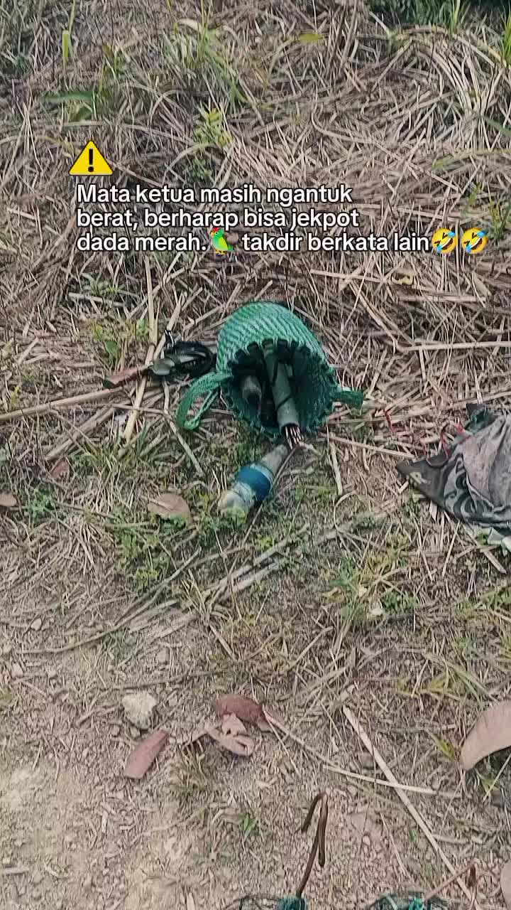 @Srindit kaltara 🦜