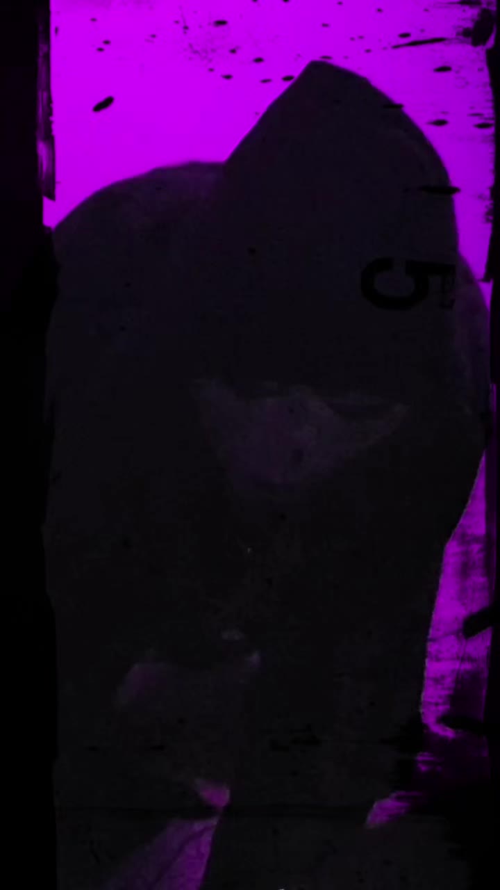 @S𝕚𝔾𝔾