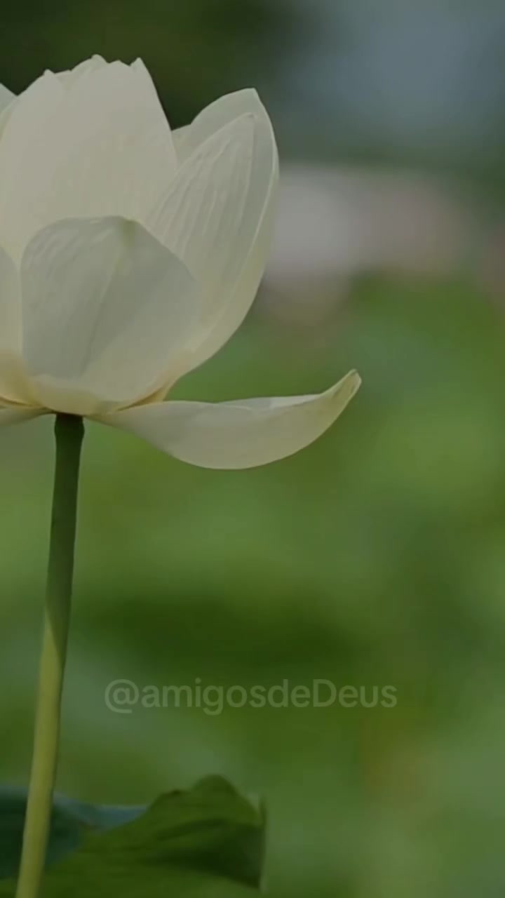 @Amigos de Deus