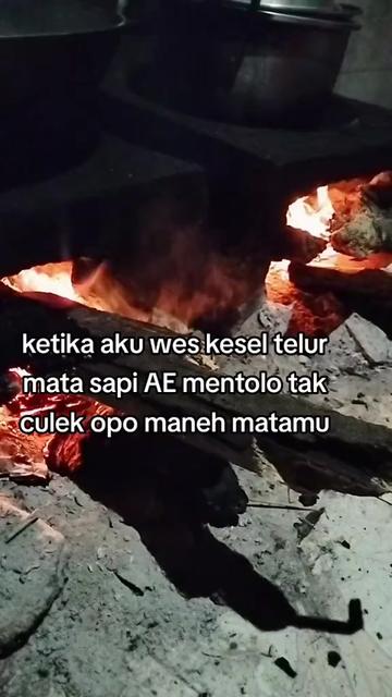 @SPƘ☘️KETUA Zuii💋