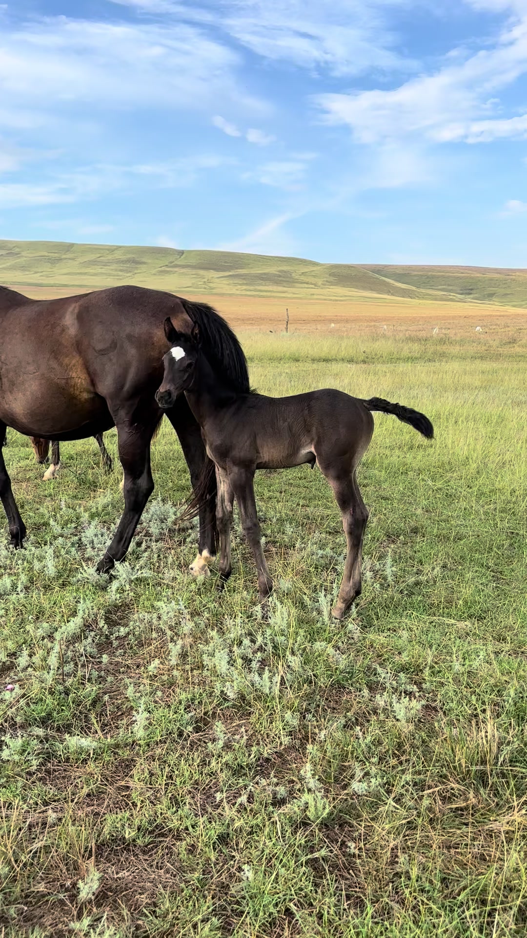 @MakvinStud