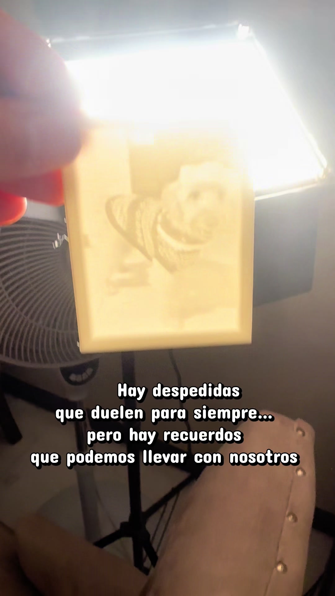 @MODO 3D