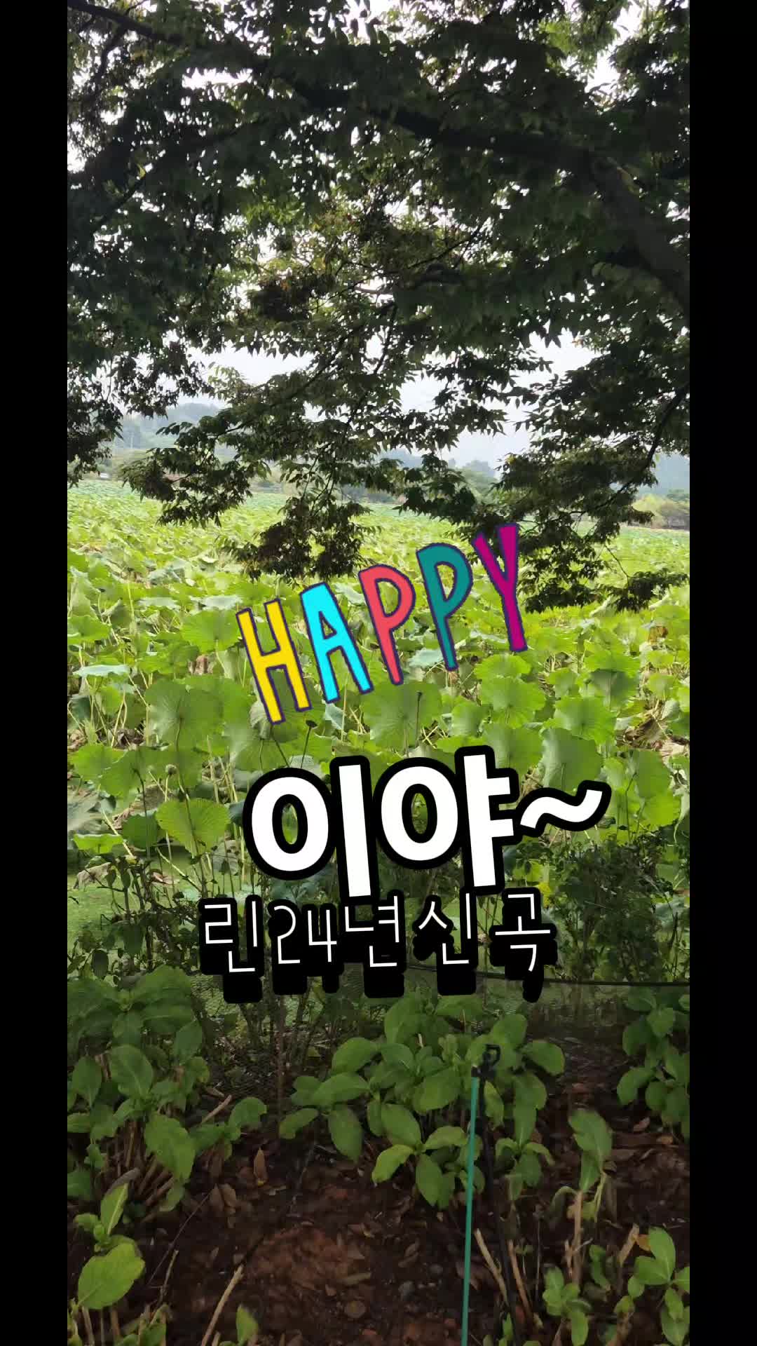 @금은희