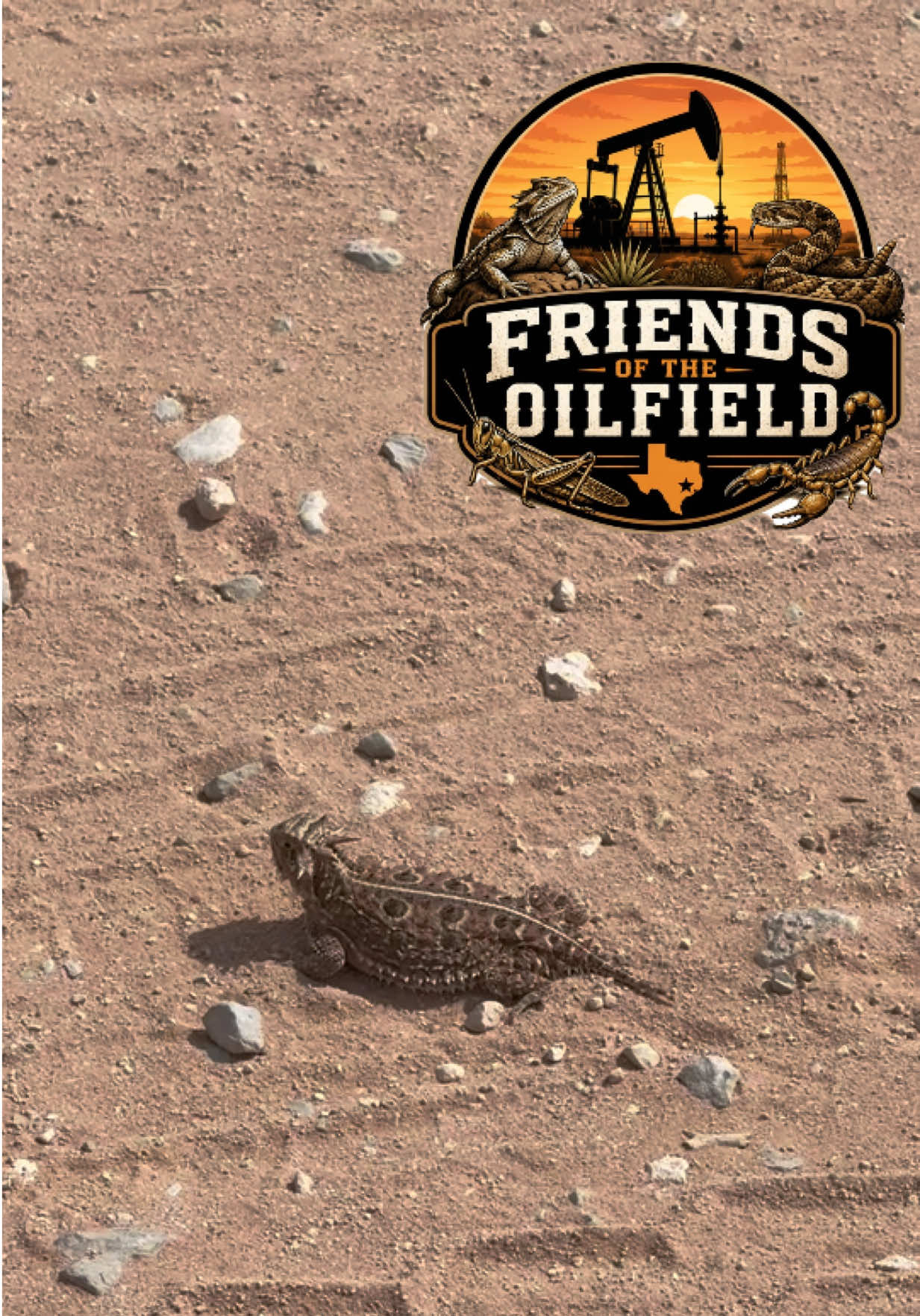 @Oilfield Angler Fishing