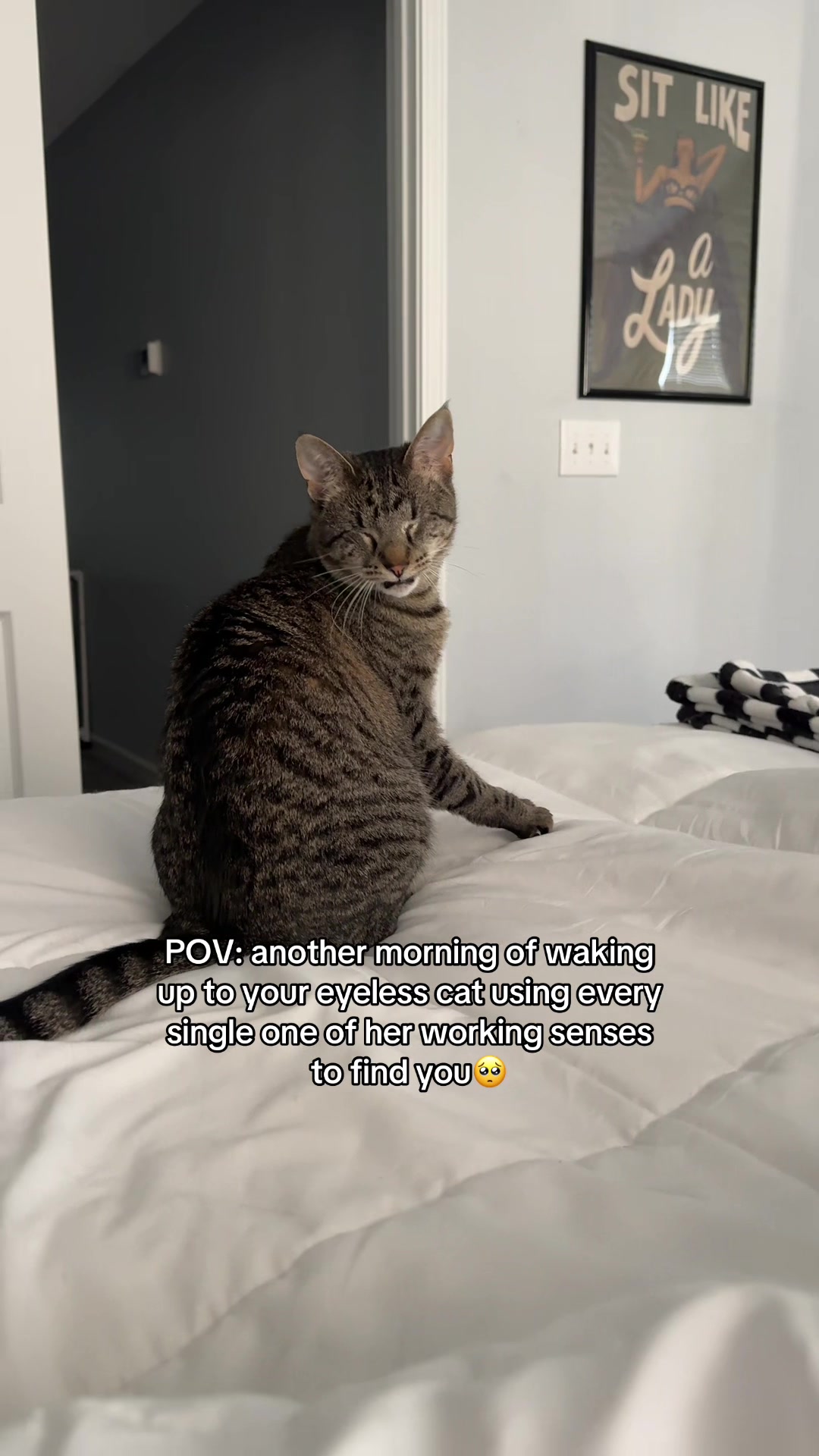@𝘼𝙢𝙗𝙚𝙧 & 𝙎𝙩𝙚𝙫𝙞𝙚