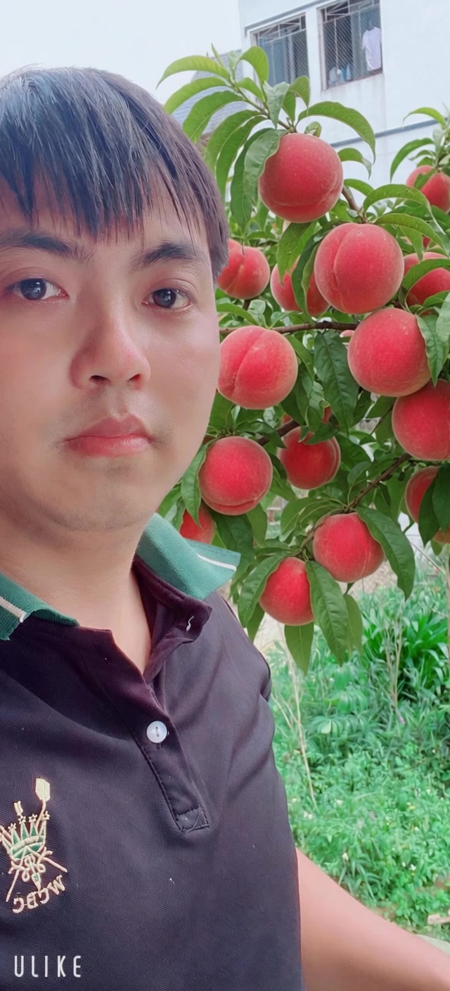 @huongitlx1996