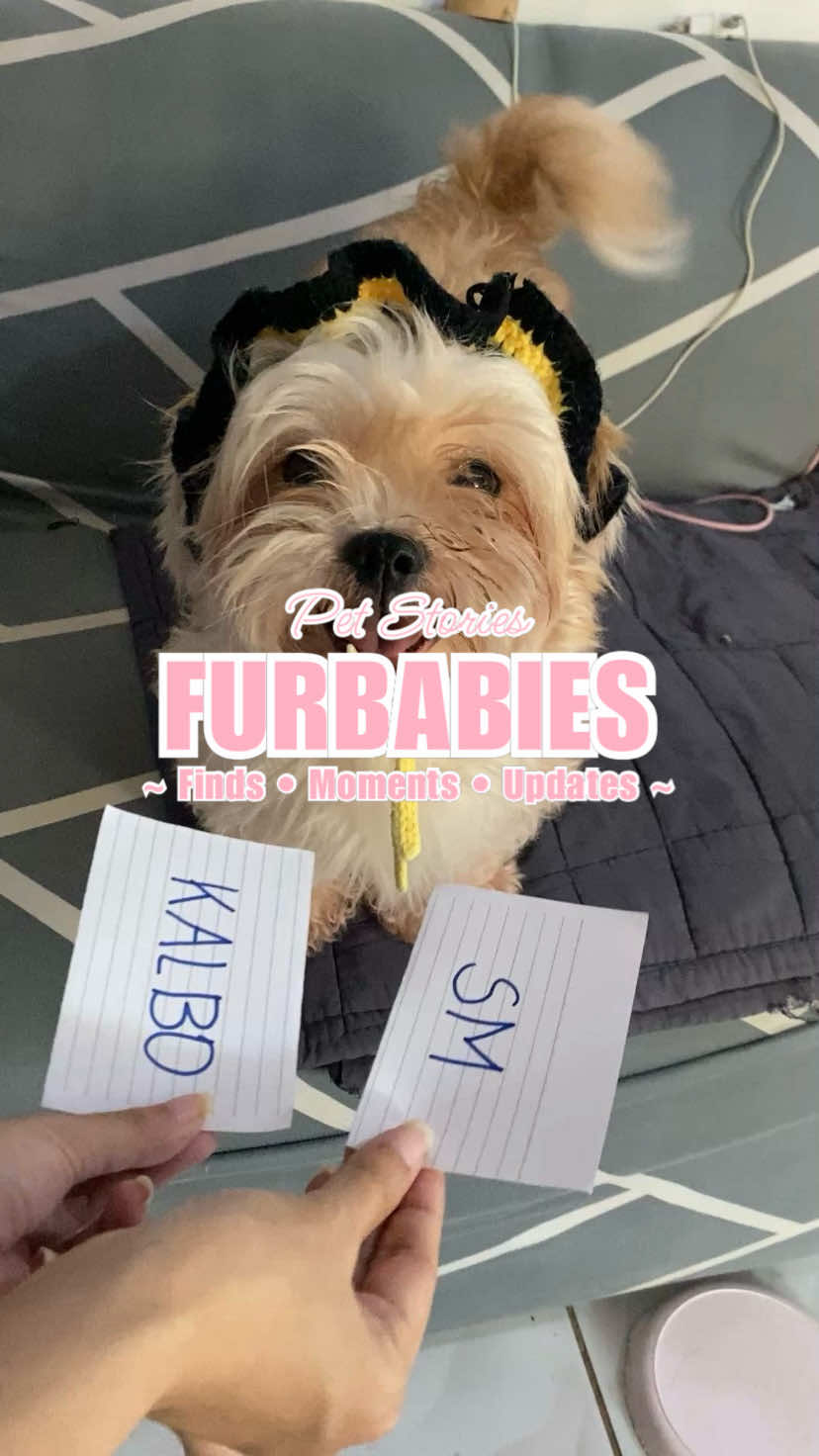 @apriljane ♡