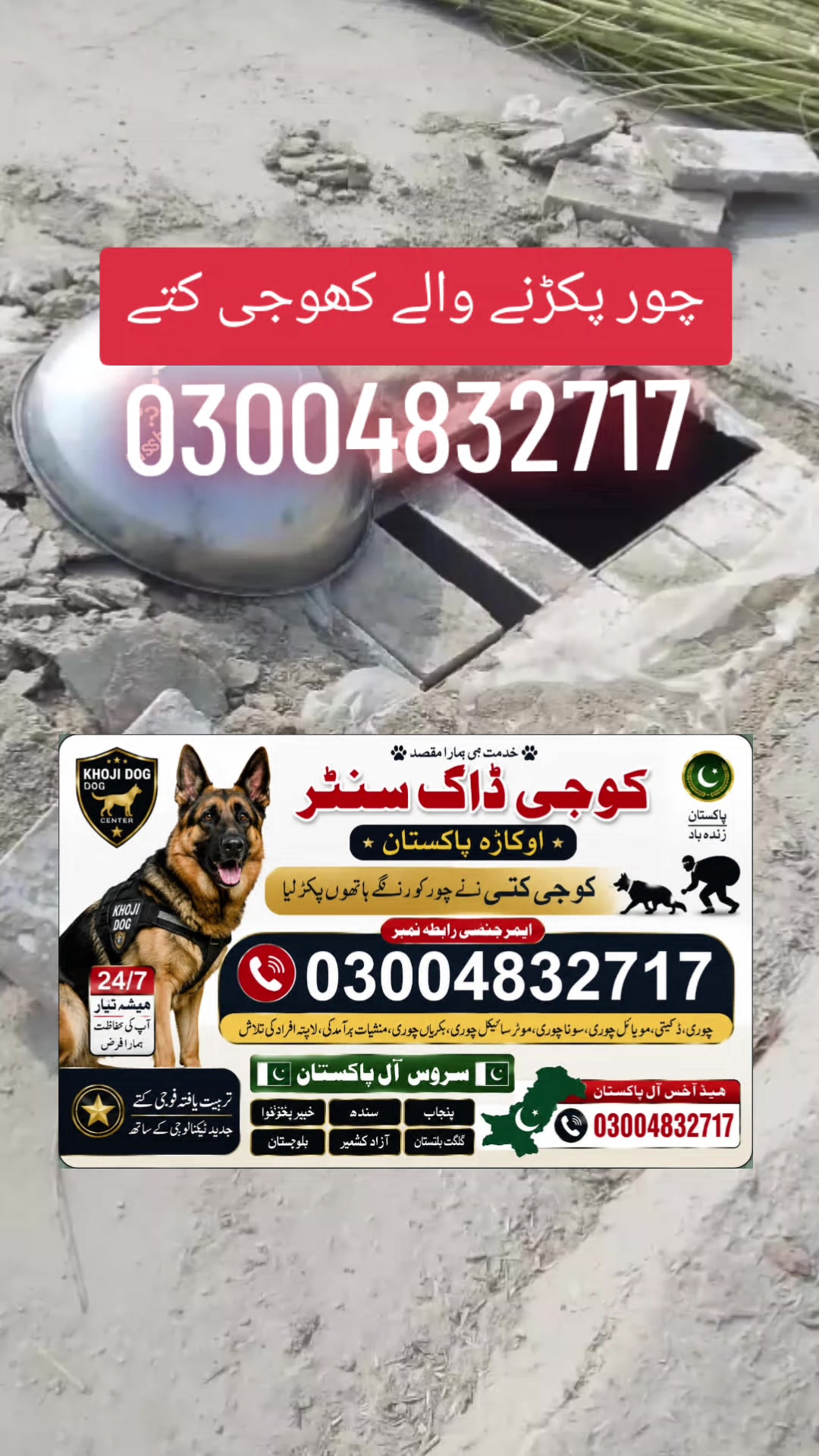 @khoji dog contact number