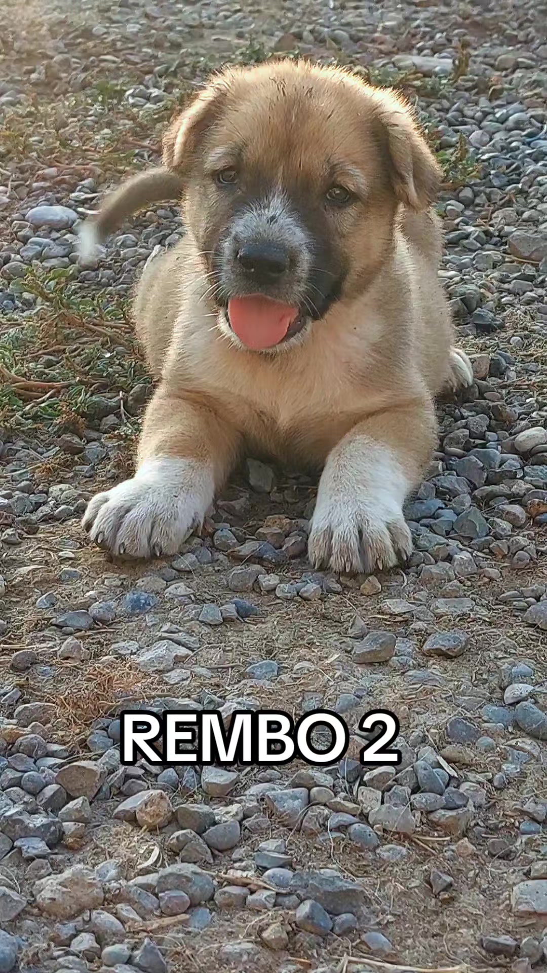 @Elşad__007
