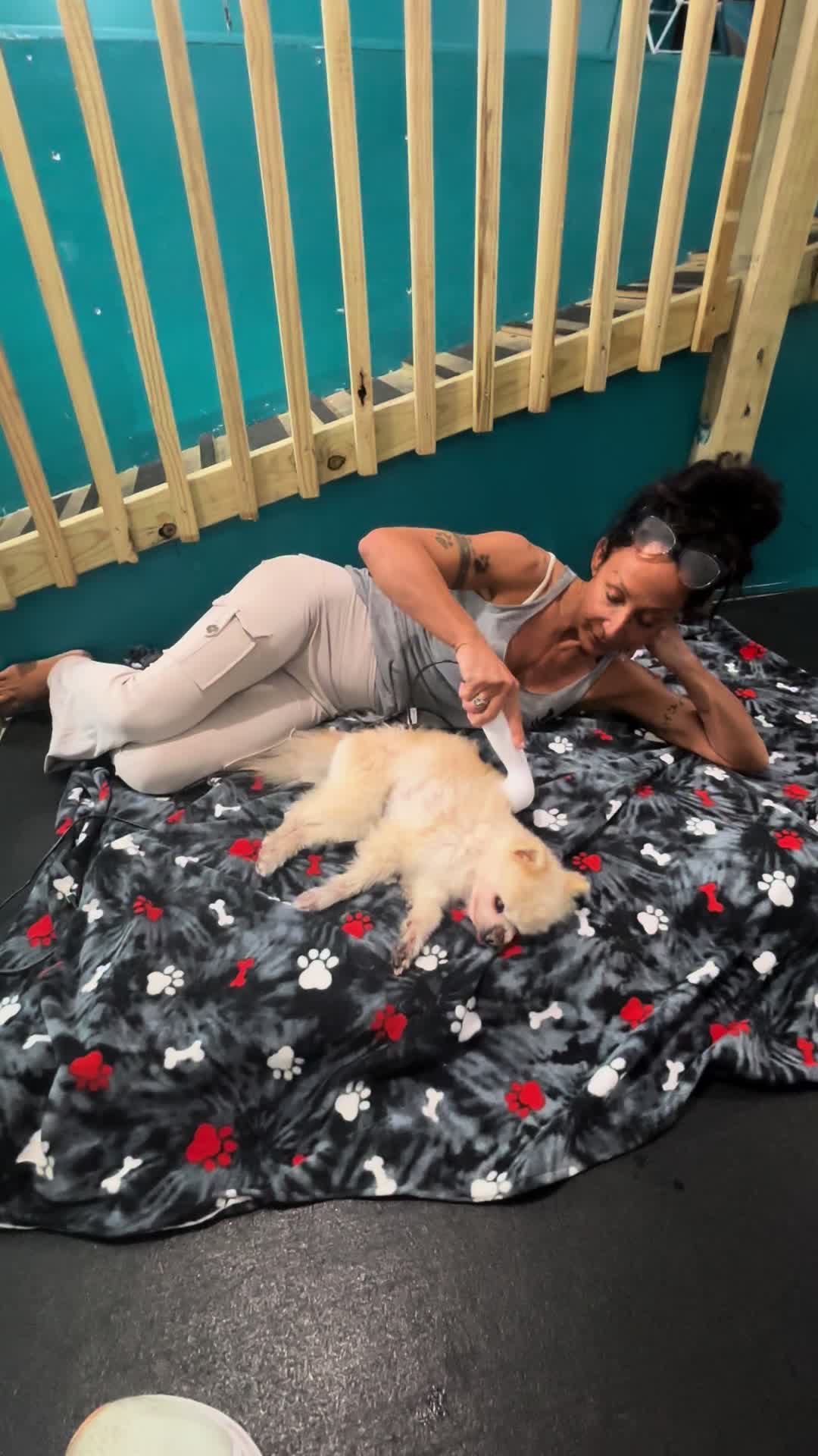 @dogmom76