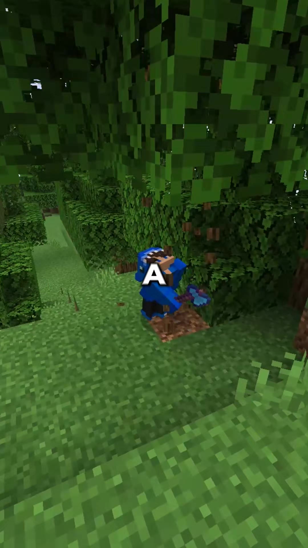 @RageMC