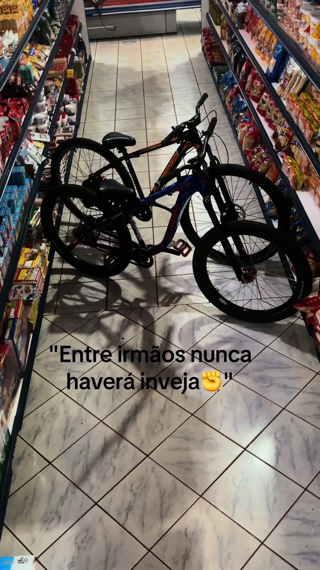 @piccinini_046