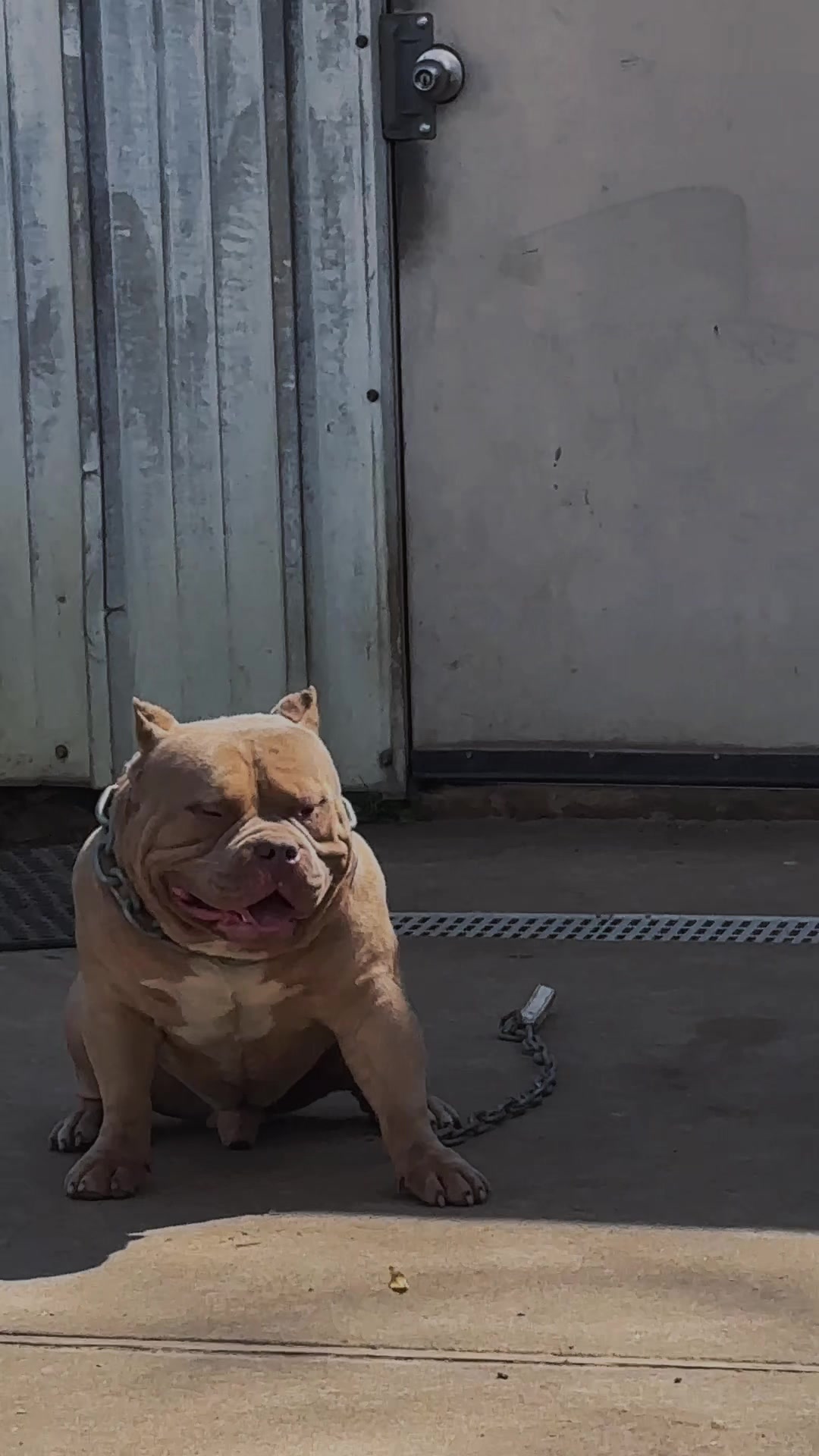 @Carters BullyHub