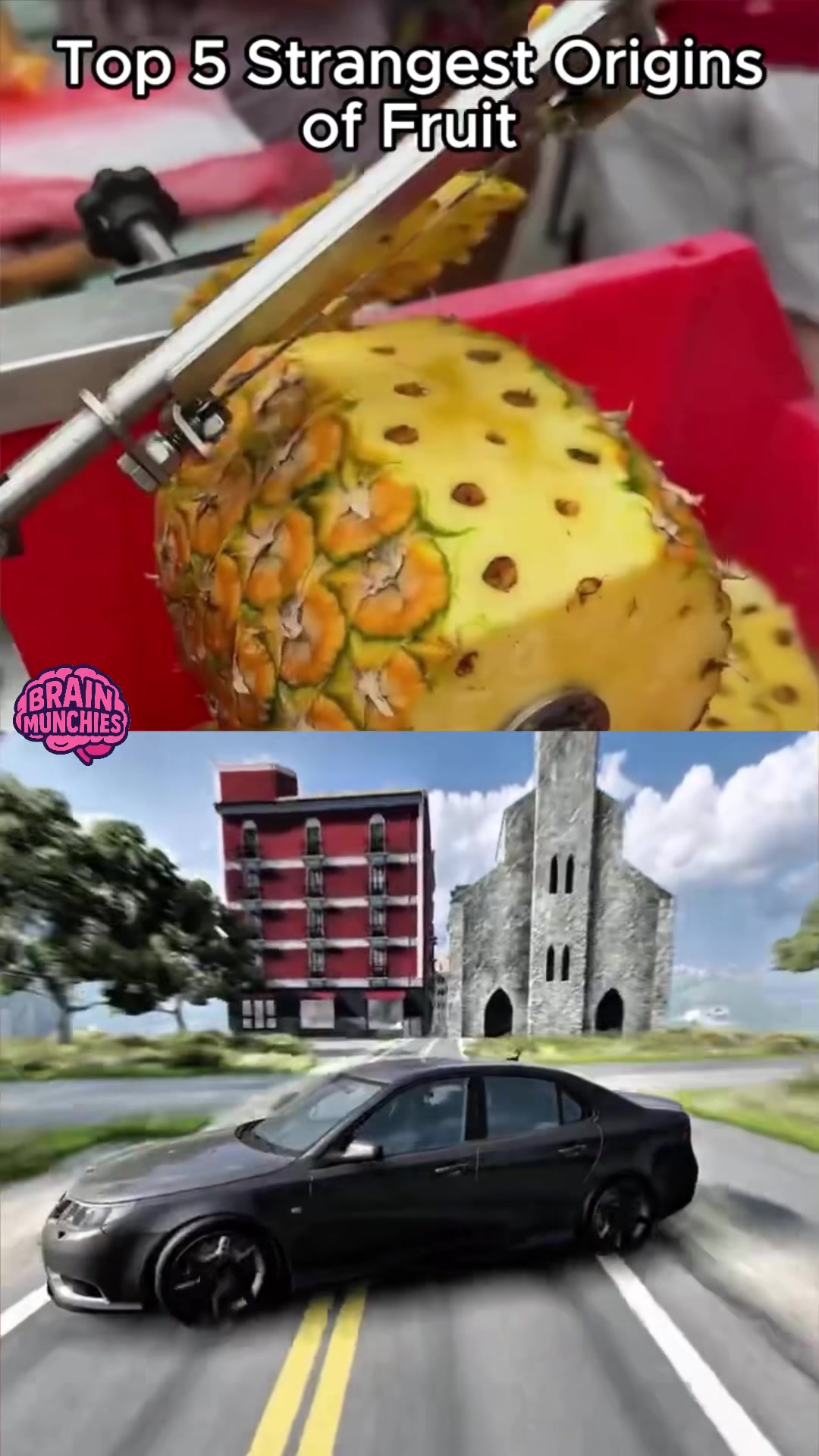 @Brain Munchies TV