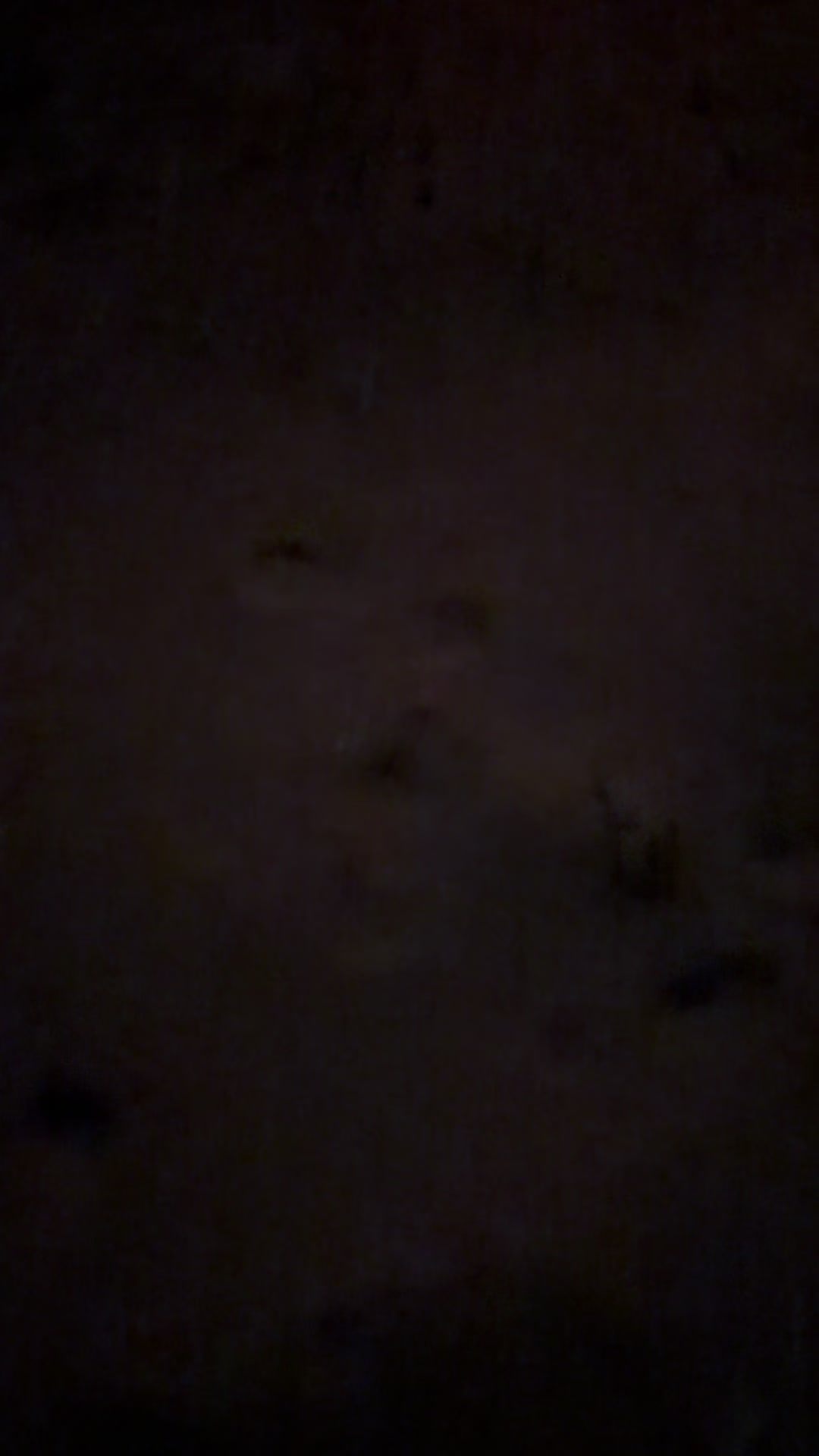 @ُ