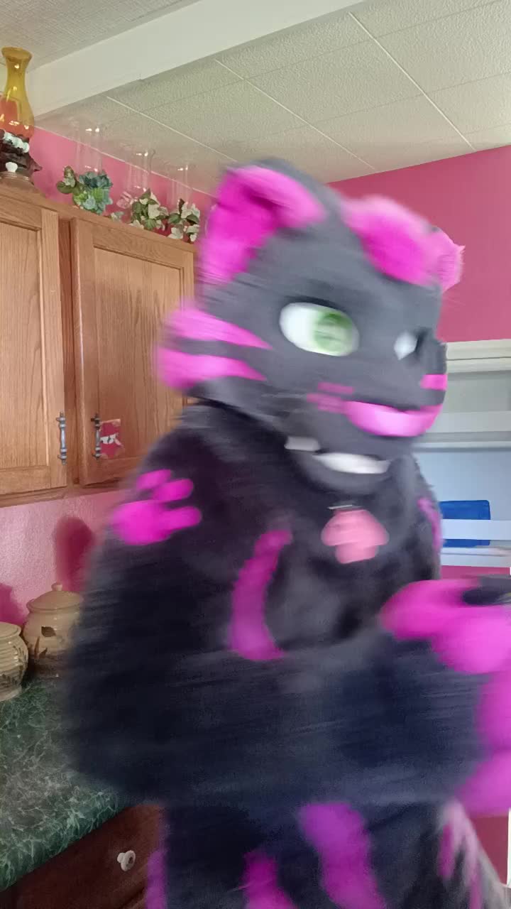 @dingbat 🐾 mew,mew 🐾