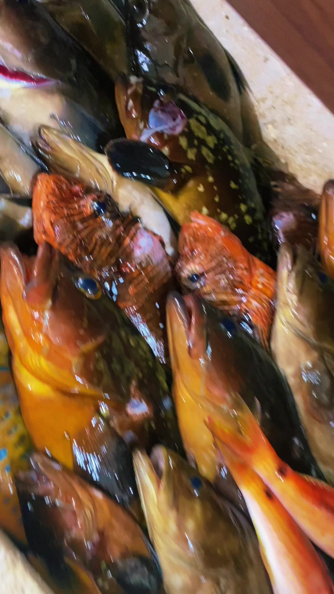 @مطعم ومسمكة الريس الصرفند