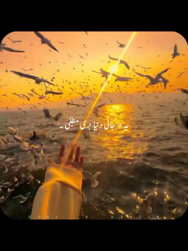 @𝙕𝙀𝘽𝙄 𝙓 𝘼𝙀𝙎𝙏𝙄𝙓