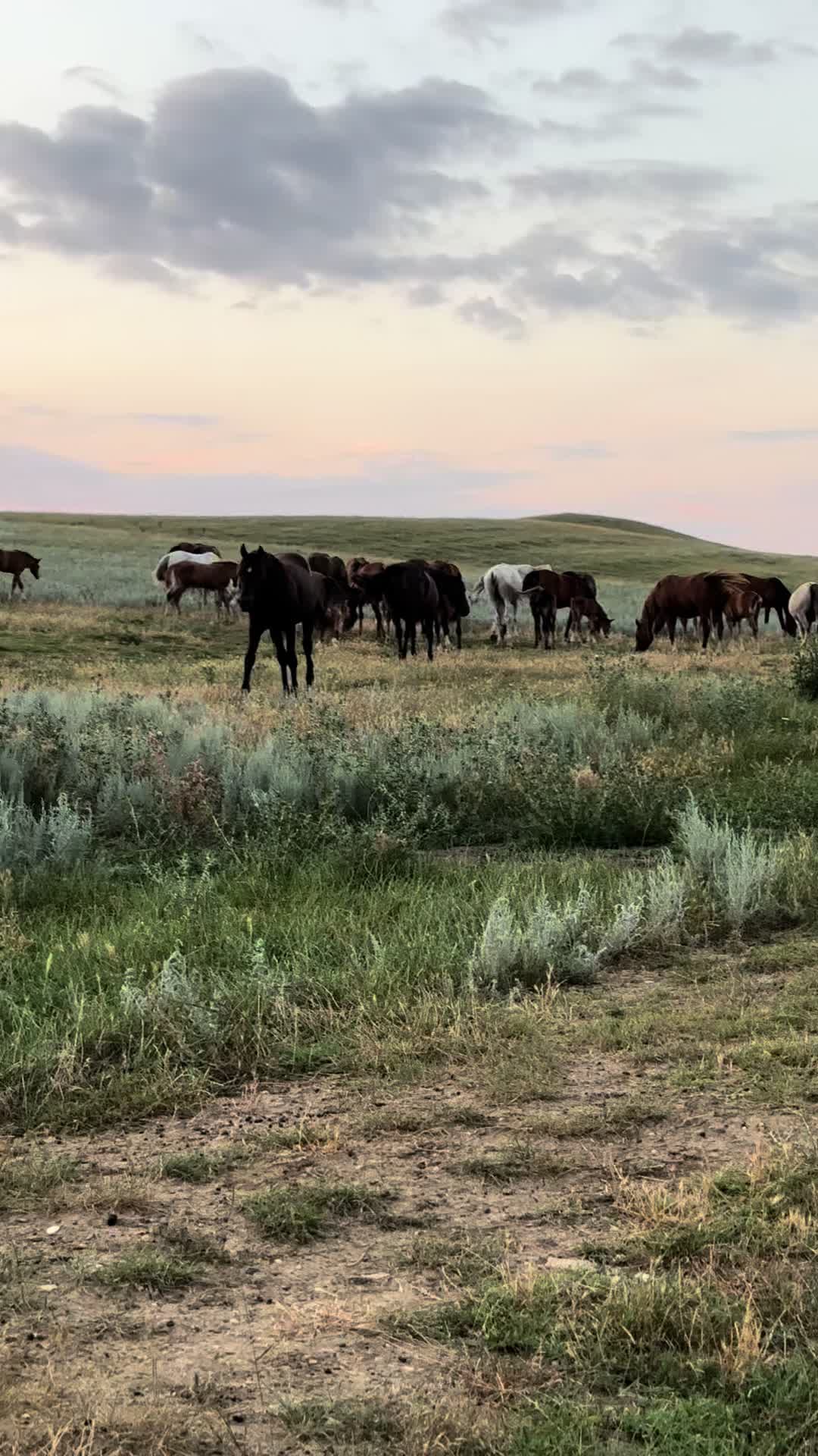 @MakvinStud