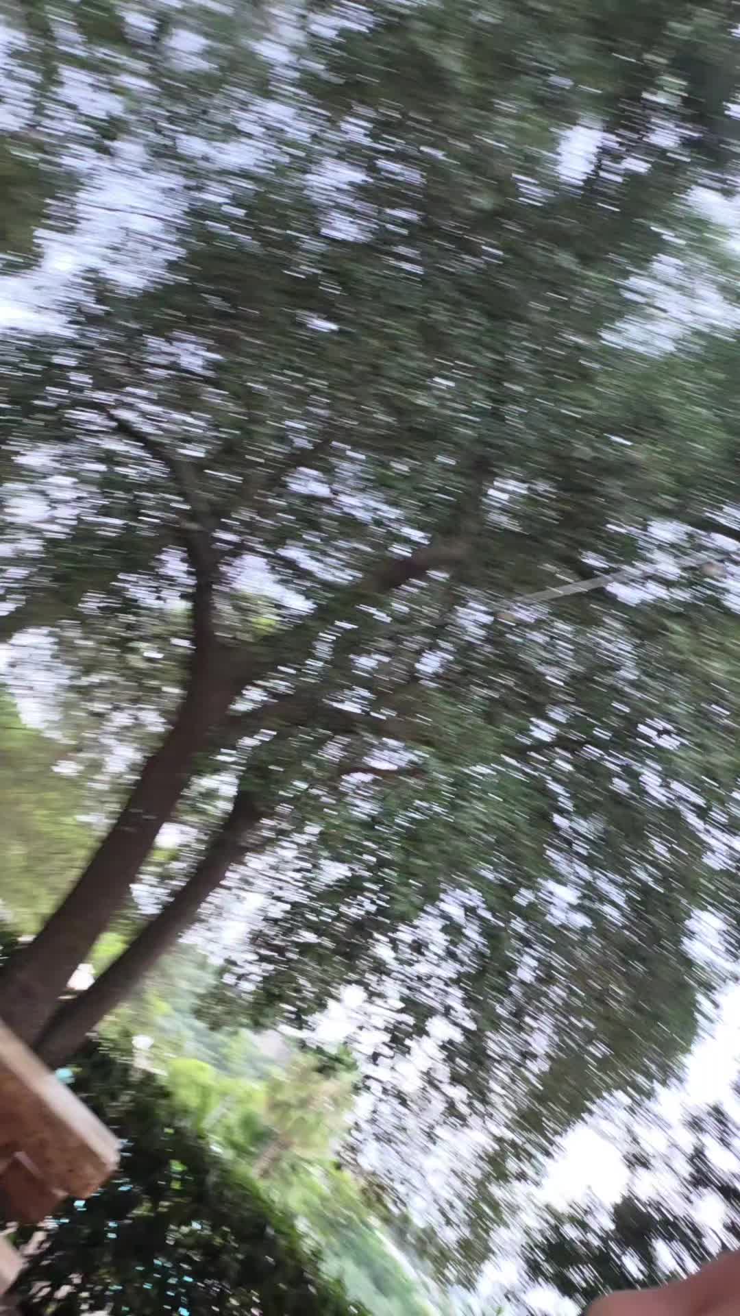 @UnaMamma3