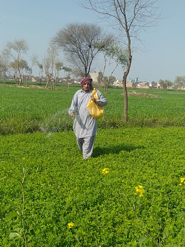 @مہر شہباز اوتیرا