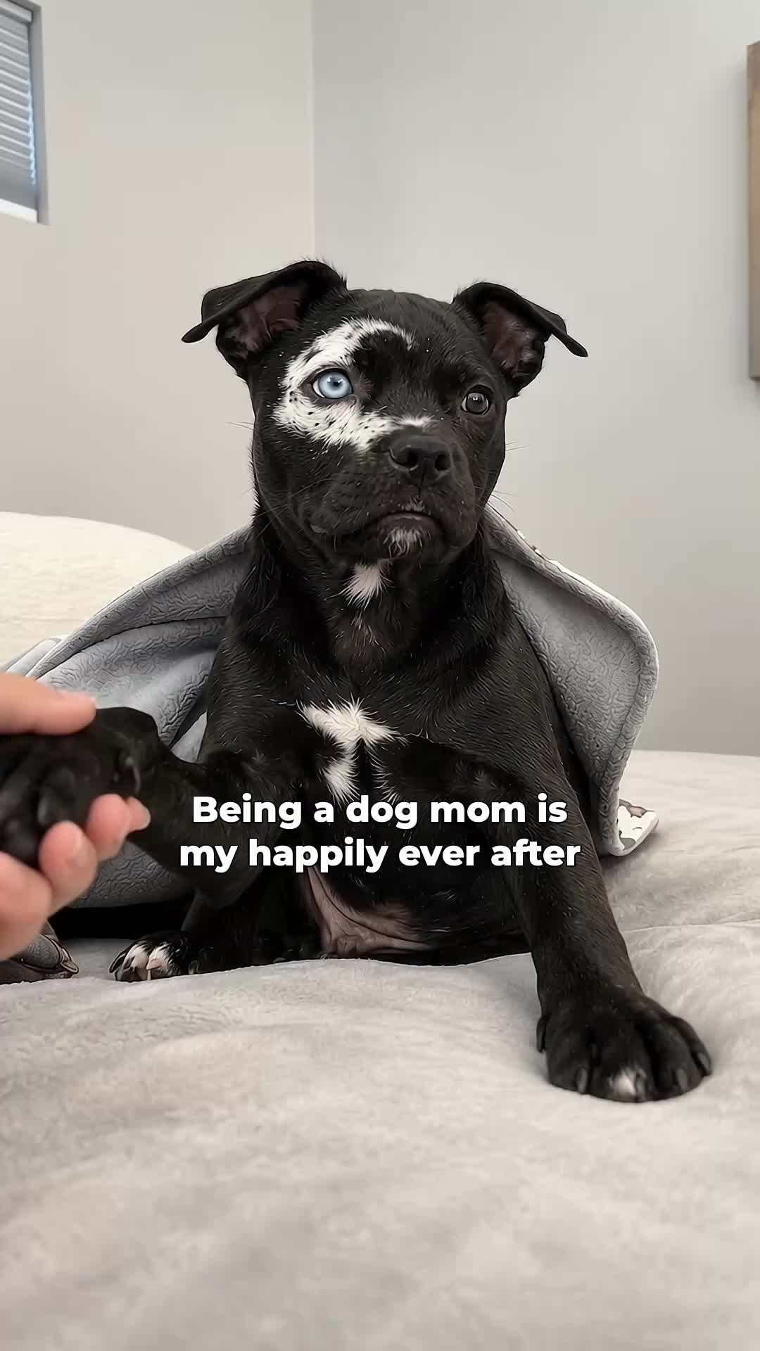 @moonfetches