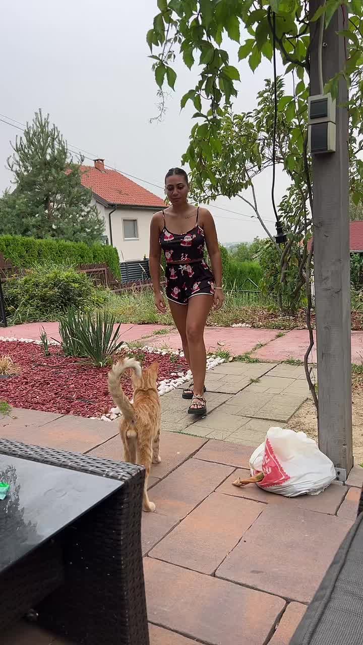 @Asepsol