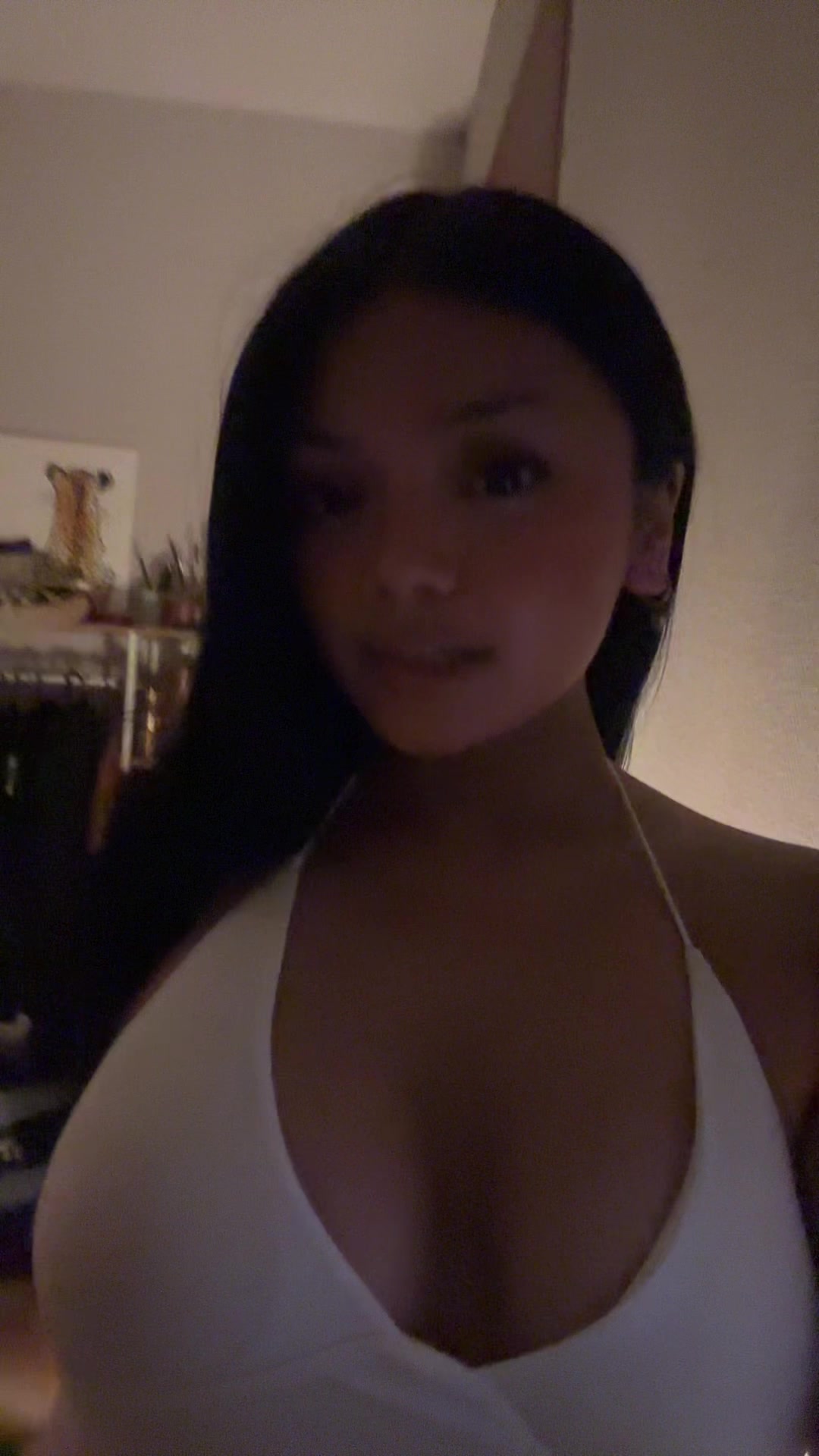 @jackeryjogidydonkabadonk