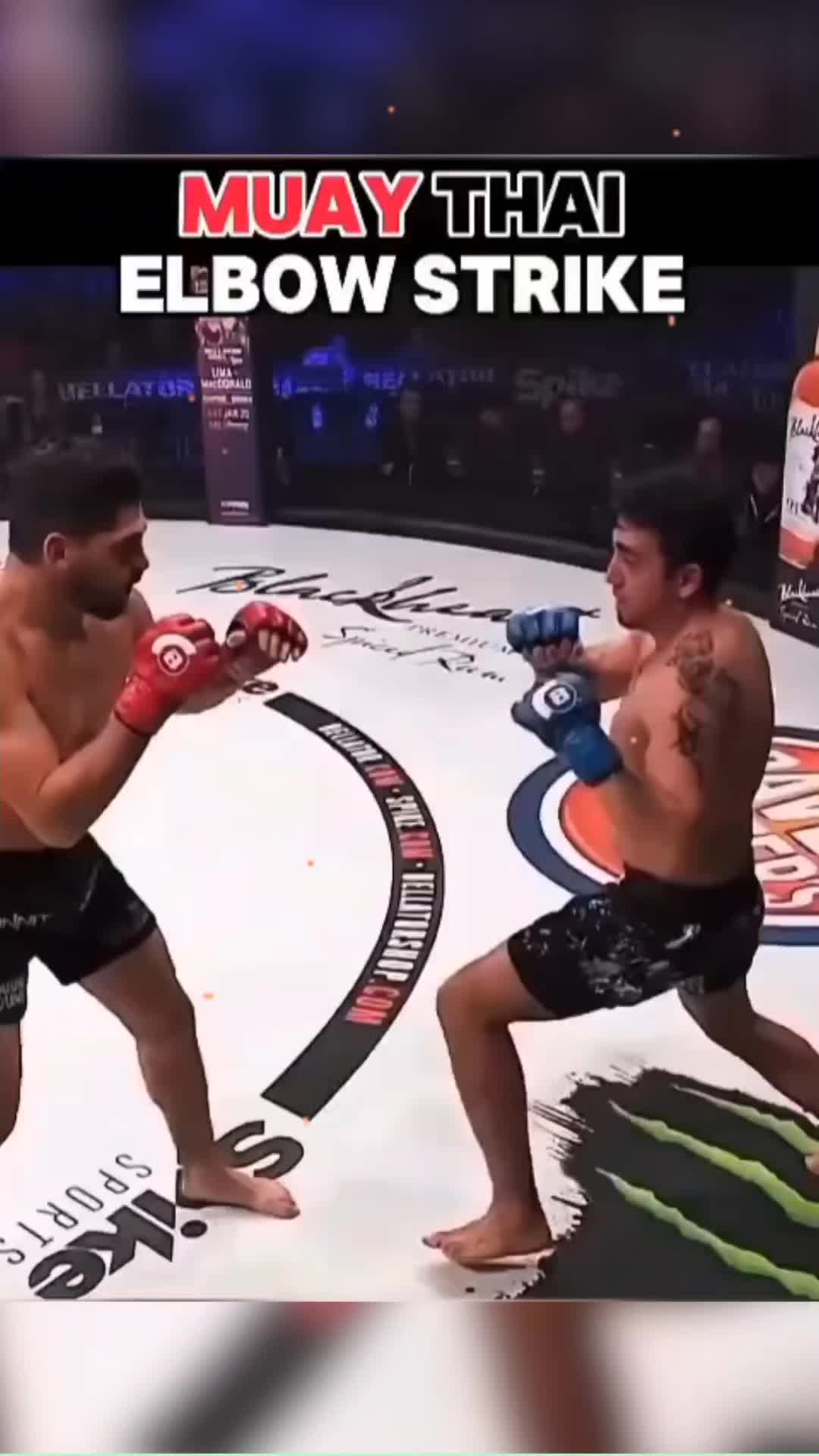 @kungfu_defene