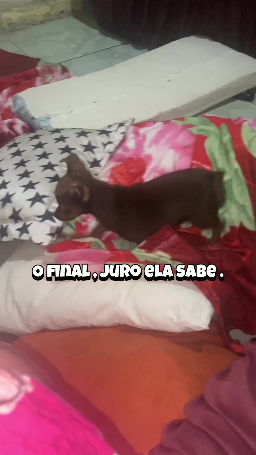 @&Iacute;ris silva 