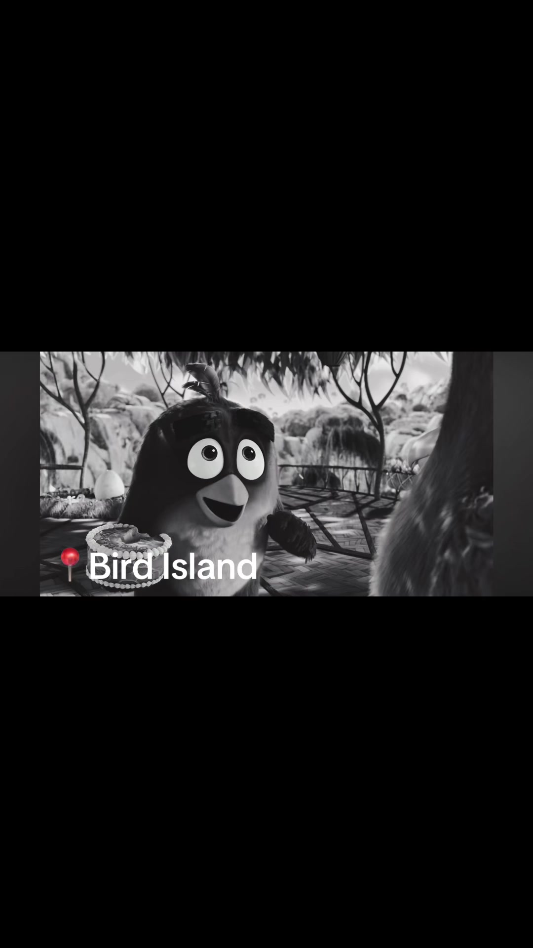 @AngryBirdsMemes
