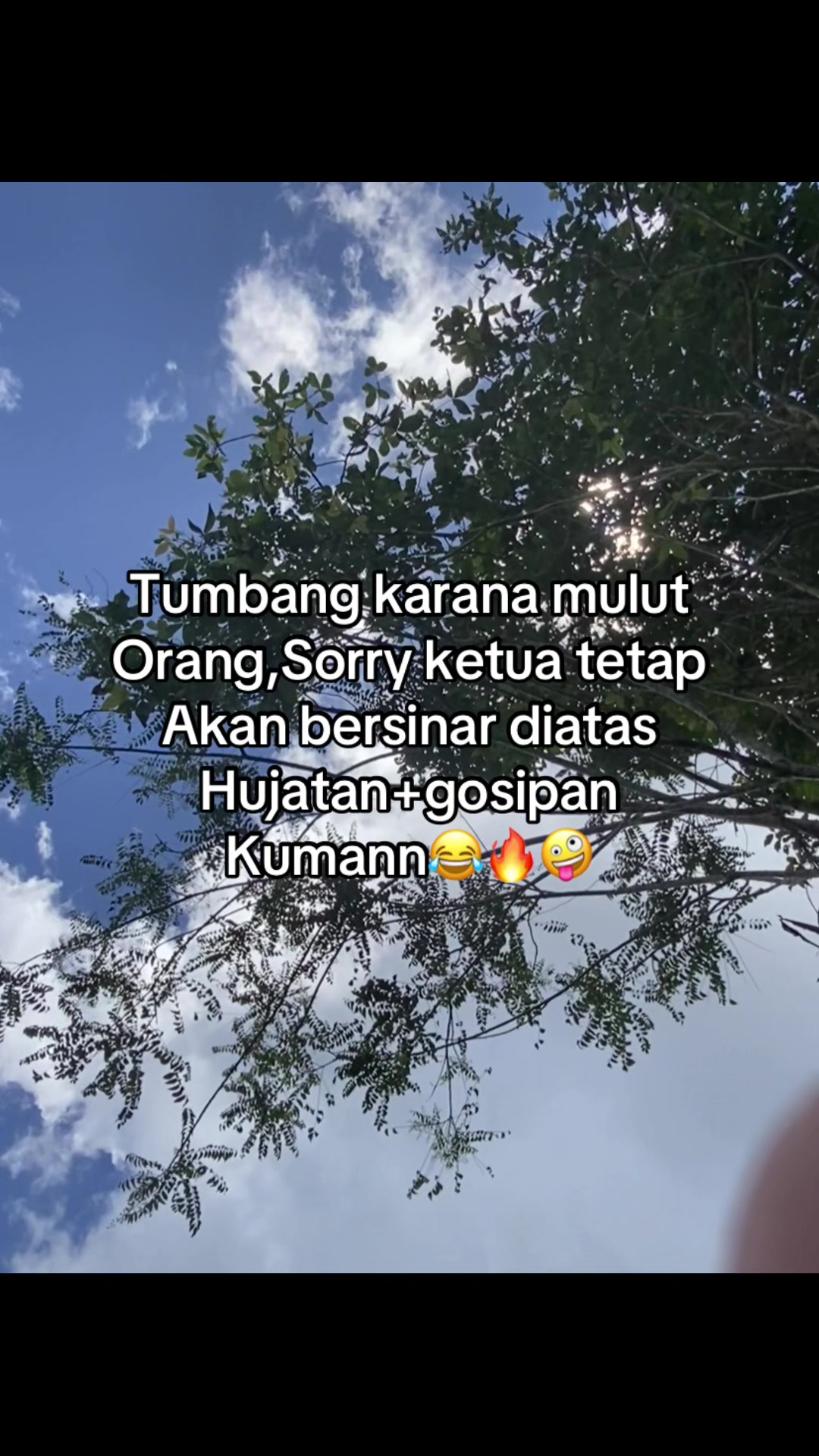 @Arbiani
