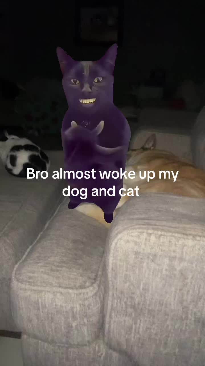 @Random_videosqueen