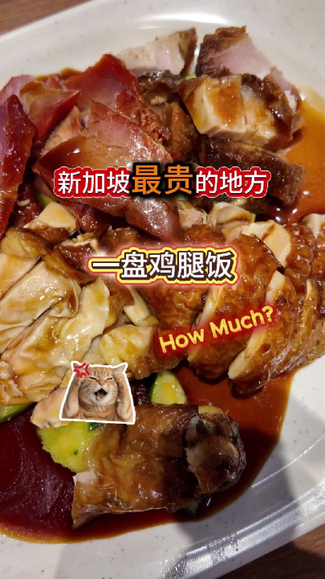 @神之舌Haven